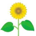 sunflower screen deco